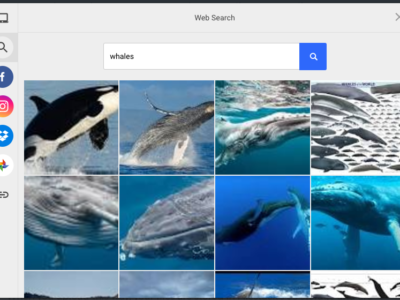 Google Image Search Results