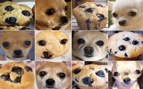 Object Detection used for chihuahuas and muffins