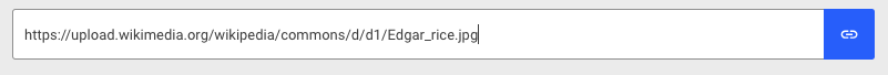 Entering a URL into the Filestack File Picker's URL field