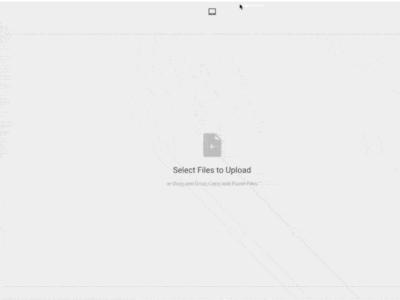 graphical user interface, text, application