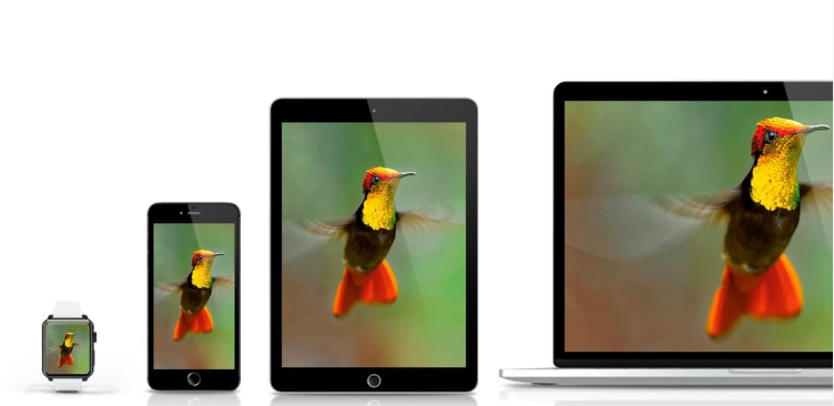 Responsive images across different devices