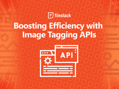 Boosting Efficiency with Image Tagging APIs