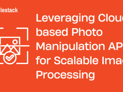 Leveraging Cloud-based Photo Manipulation APIs for Scalable Image Processing