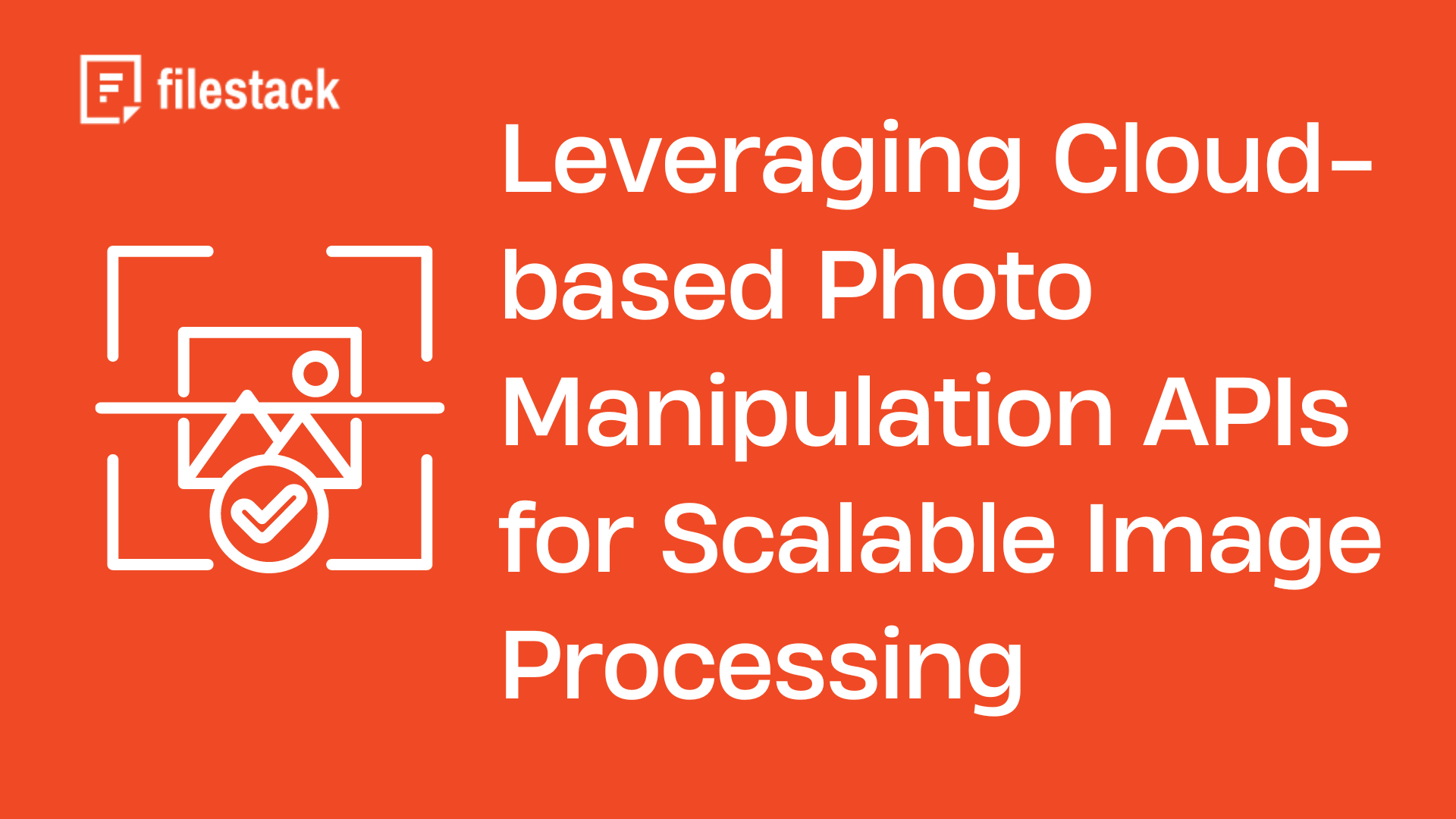 Leveraging Cloud-based Photo Manipulation APIs for Scalable Image Processing