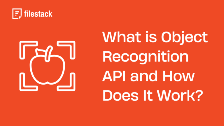 What is Object Recognition API and How Does It Work?