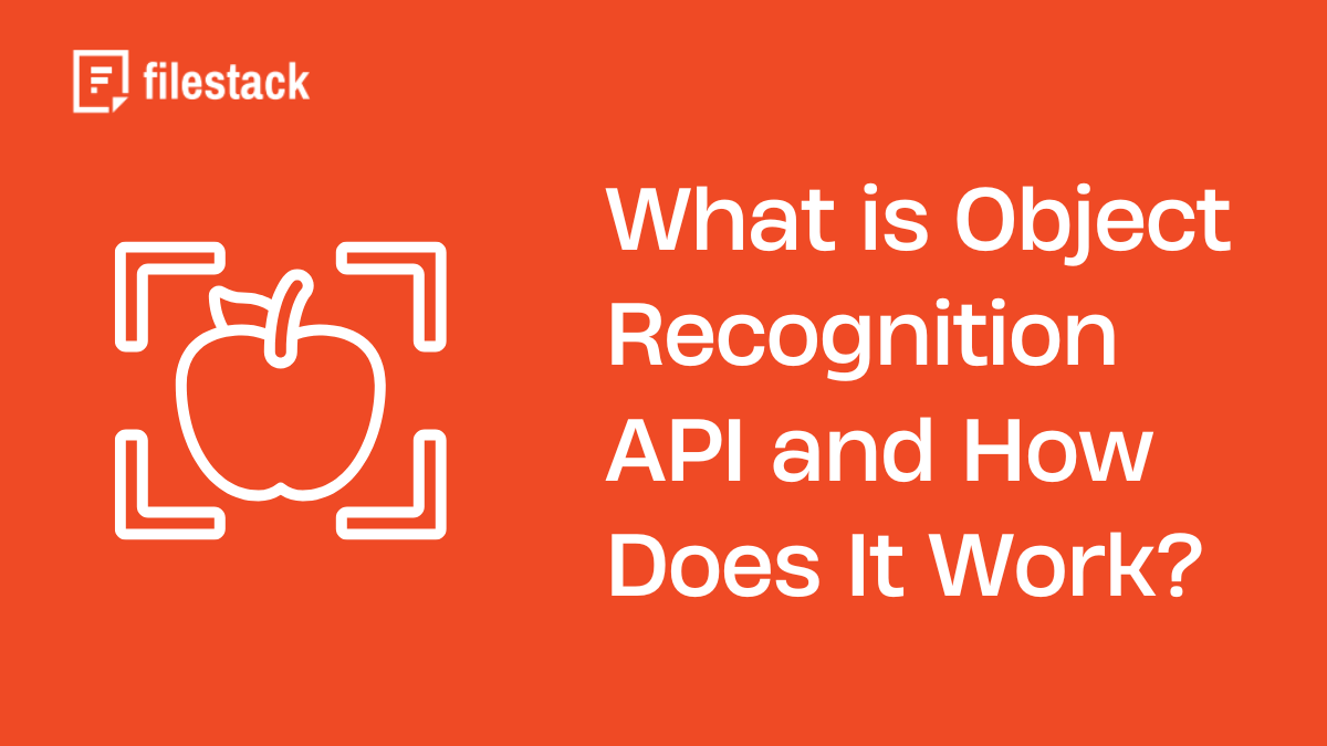 What is Object Recognition API and How Does It Work