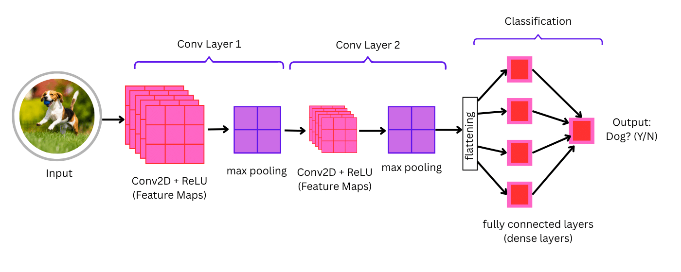 A simple Convolutional Neural Network (CNN) architecture for image classification.