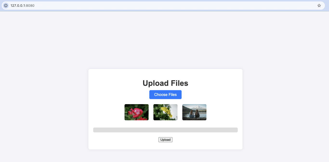 Selected file preview