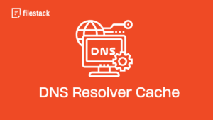 DNS Resolver Cache