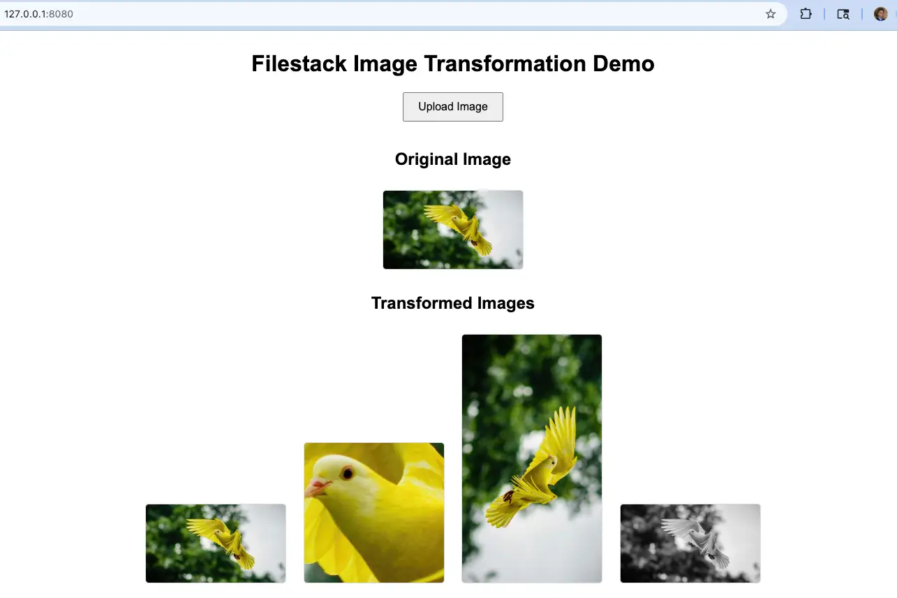 Filestack real-time image transformation example