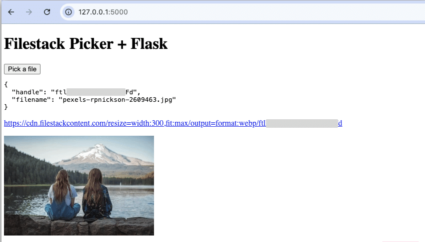 Flask app displaying a successfully uploaded image using Filestack, with file details, CDN link, and resized preview.