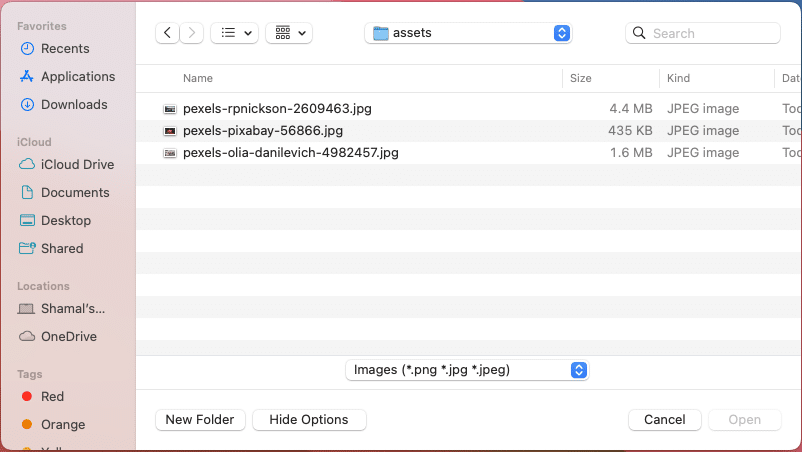 PyQt - file open dialog