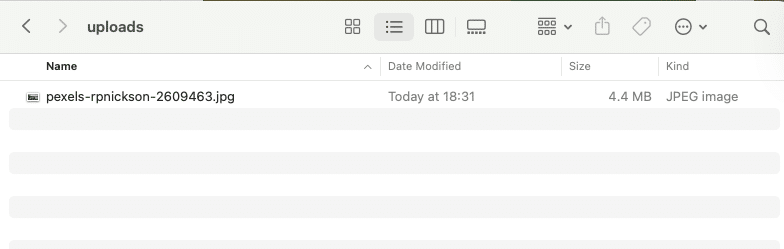 Uploaded image file saved in the uploads folder on the server
