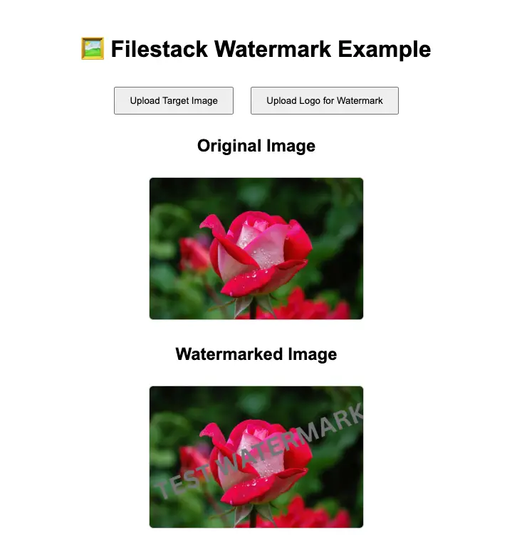 Watermarked image with Filestack