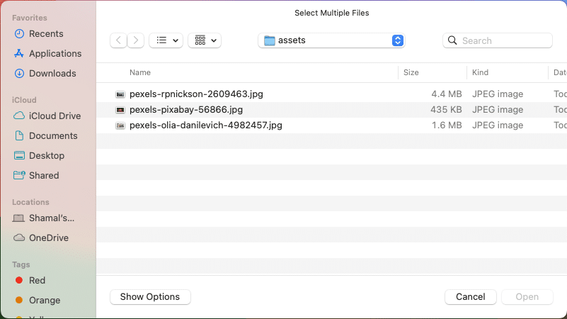 tkinter - multiple file open dialog