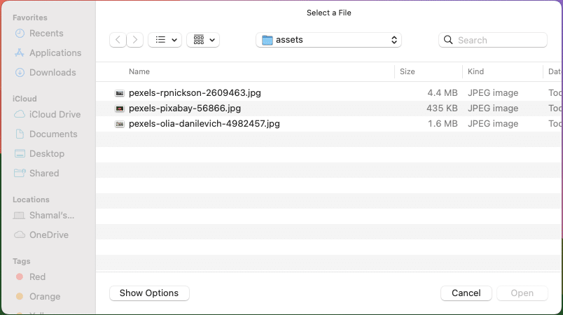 tkinter - single-file open dialog