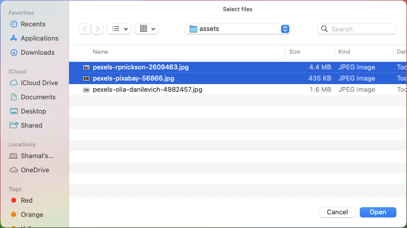 wxPython - multiple file open dialog