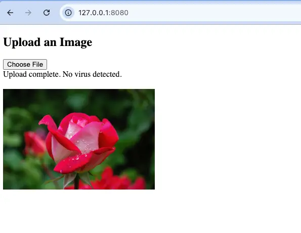 Output screen when a safe image is uploaded