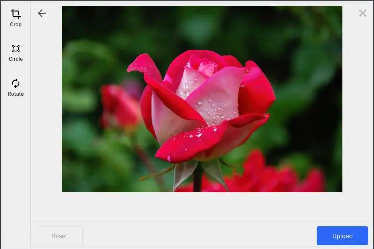 Uploading an image file using the Filestack file picker