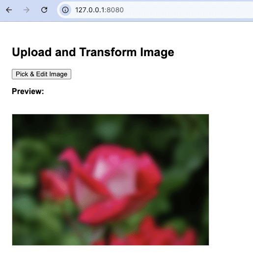 Blurred and resized image with Filestack’s image transformation API
