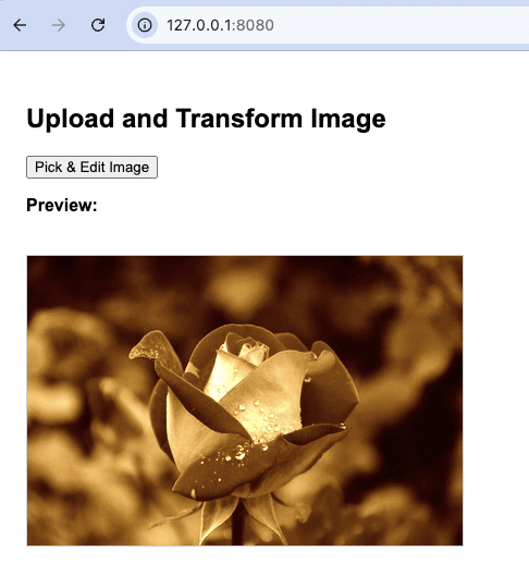 Image after applying sepia with the Filestack Image Transformation API