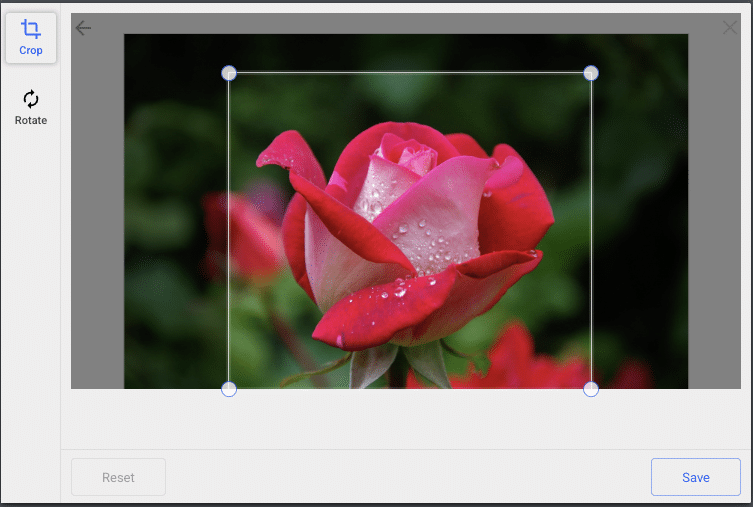 Image cropping in Filestack File Picker