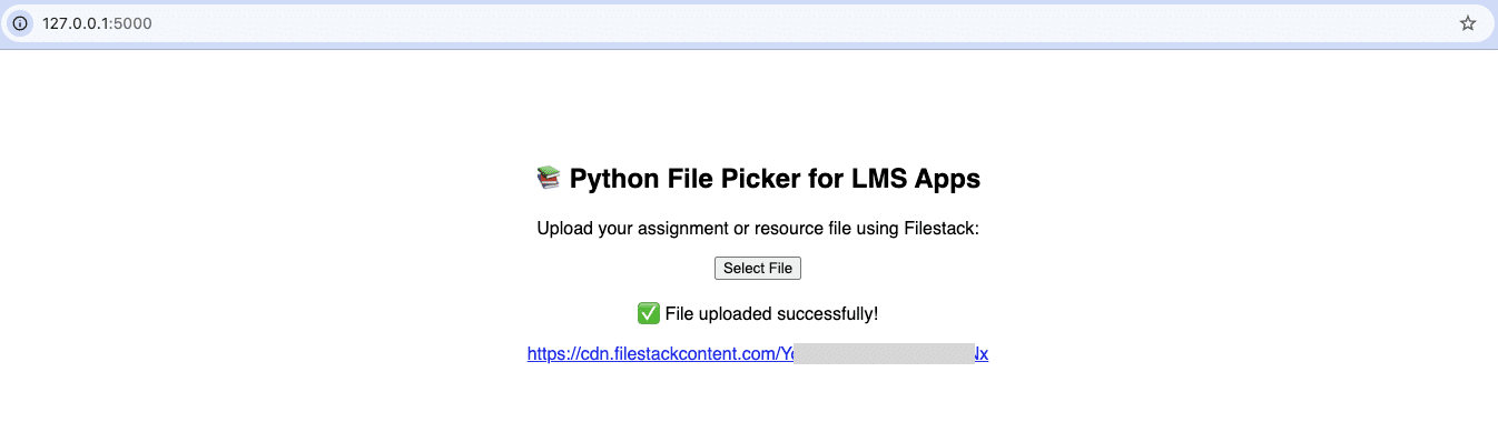 Uploaded file information is displayed on the webpage
