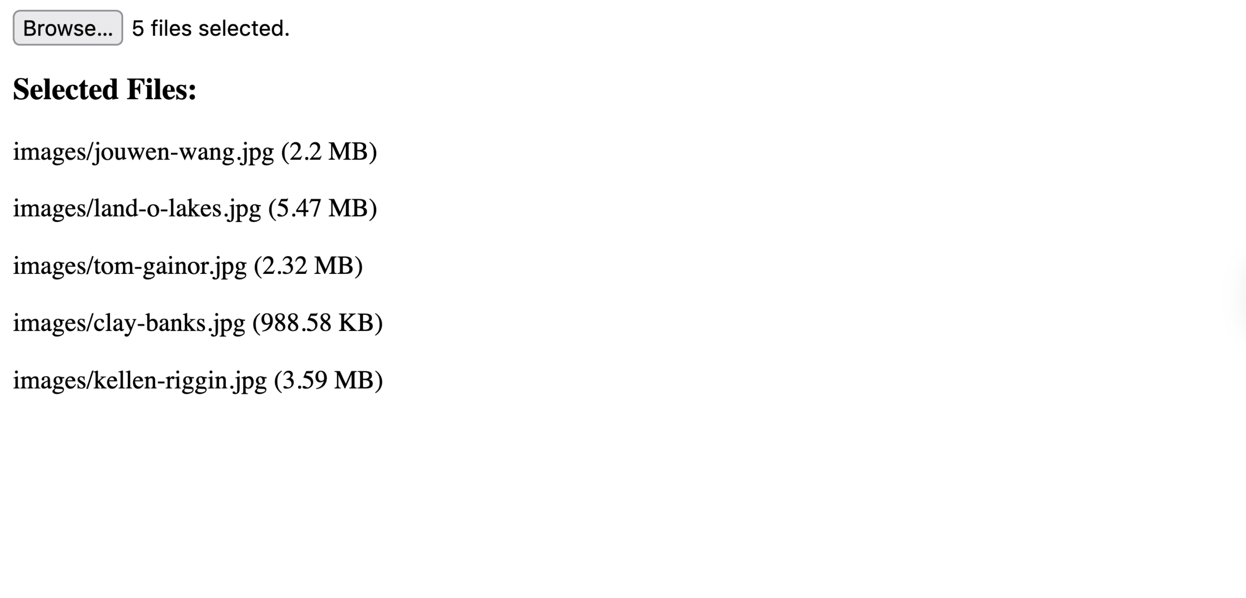 JavaScript handling folder upload and file paths in a web app