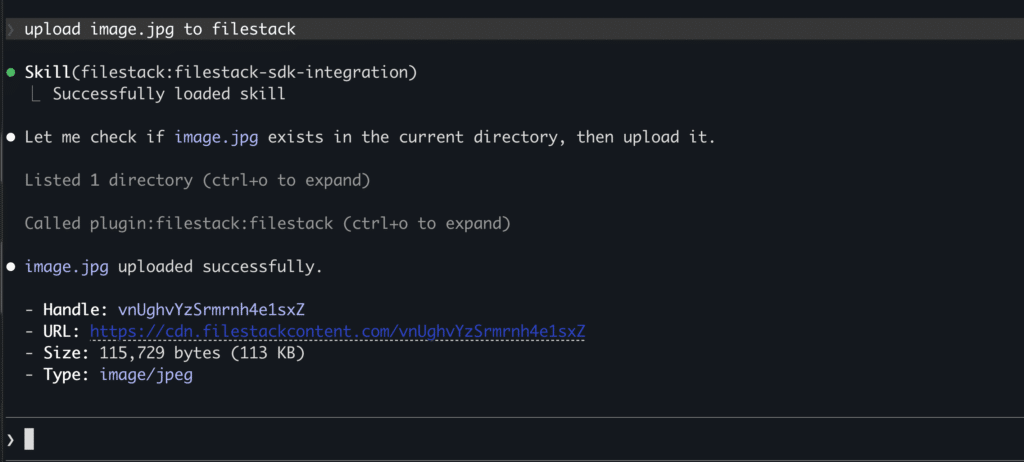 claude upload to filestack
