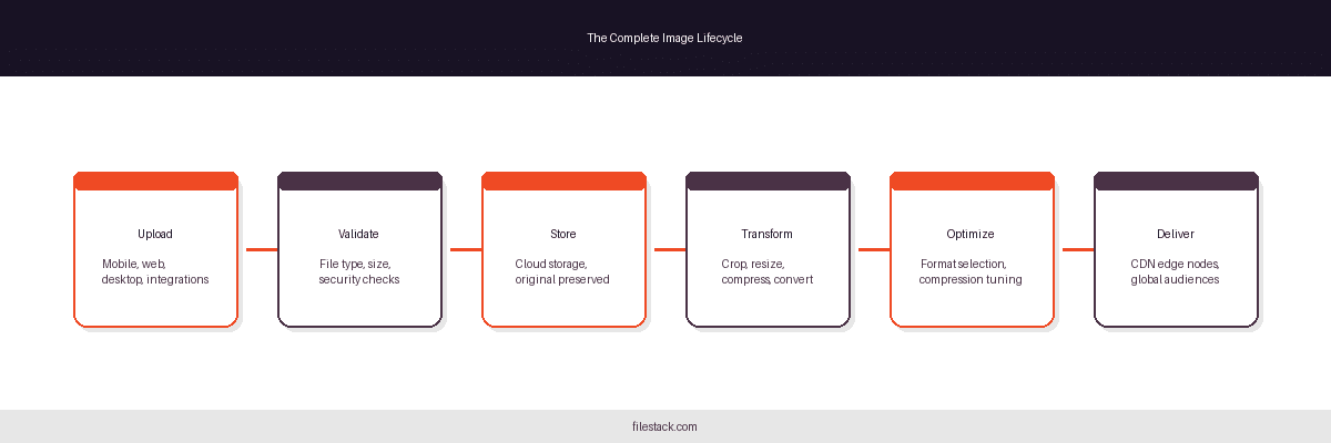 A visual diagram representing the complete image lifecycle